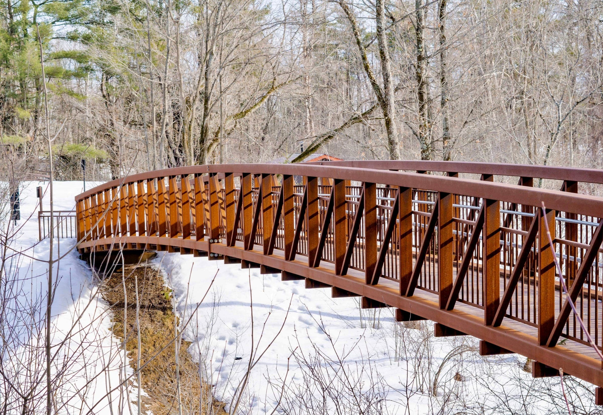 A wooden bridge through nature