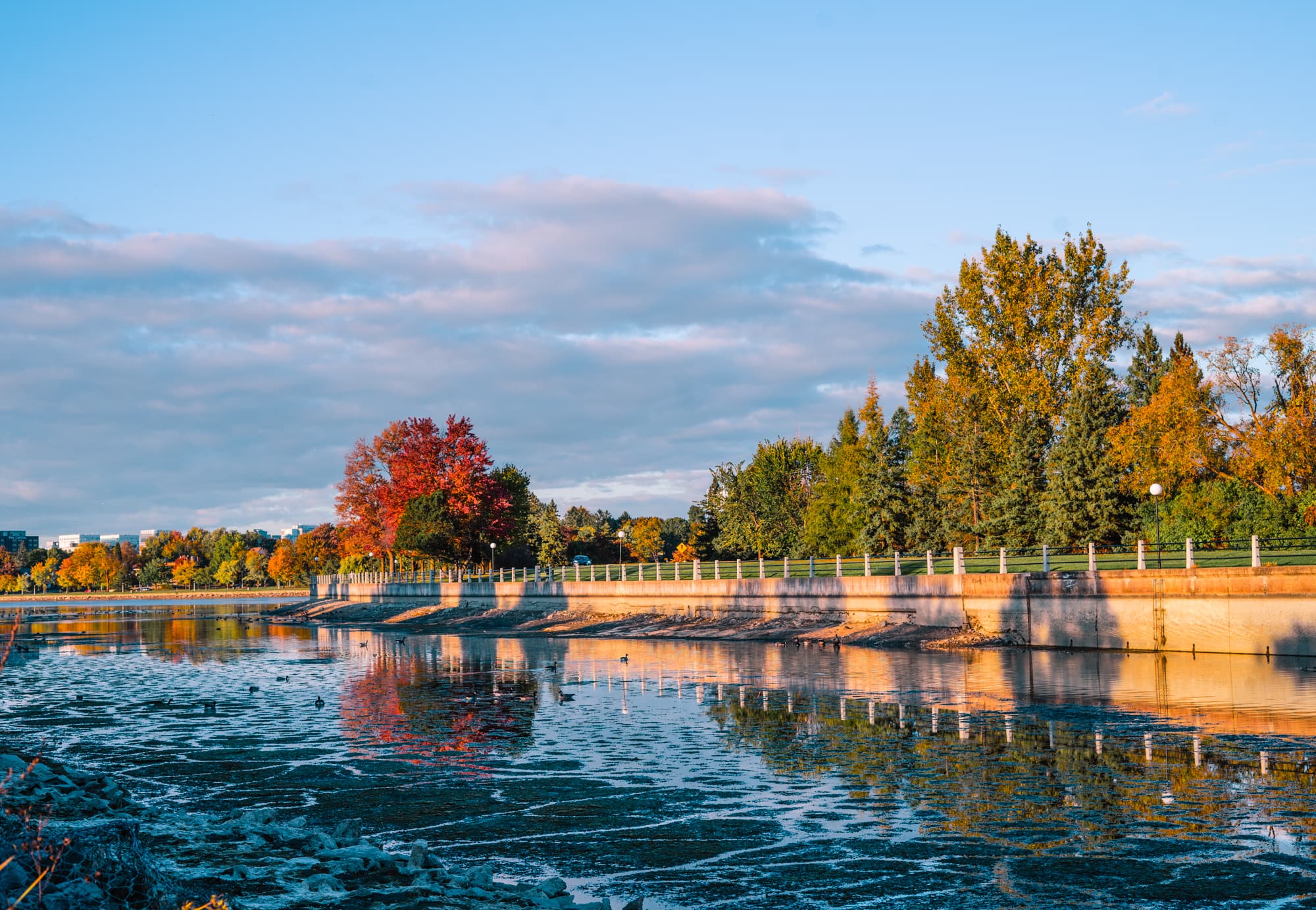 A tree-lined canal reflecting autumn colour at sunrise